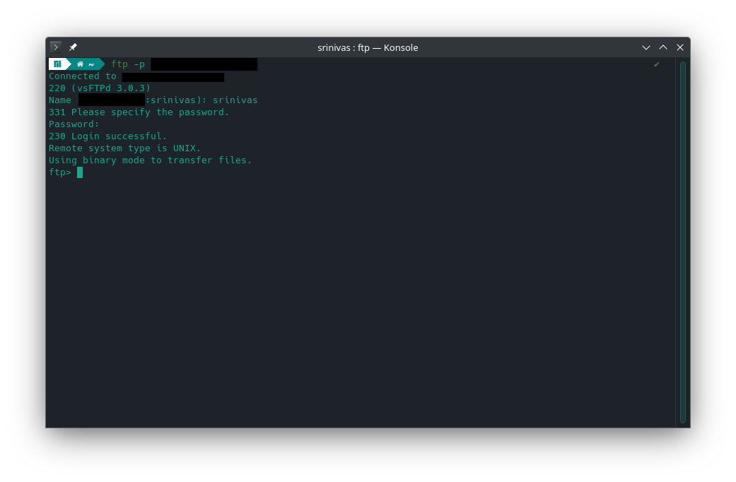 Terminal output after connecting to the Raspberry Pi with the ftp client