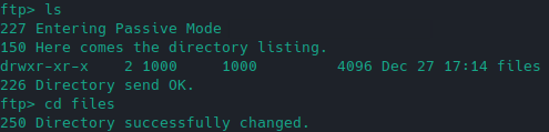 Terminal output after changing into the files directory