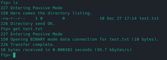 Terminal output after downloading test.txt