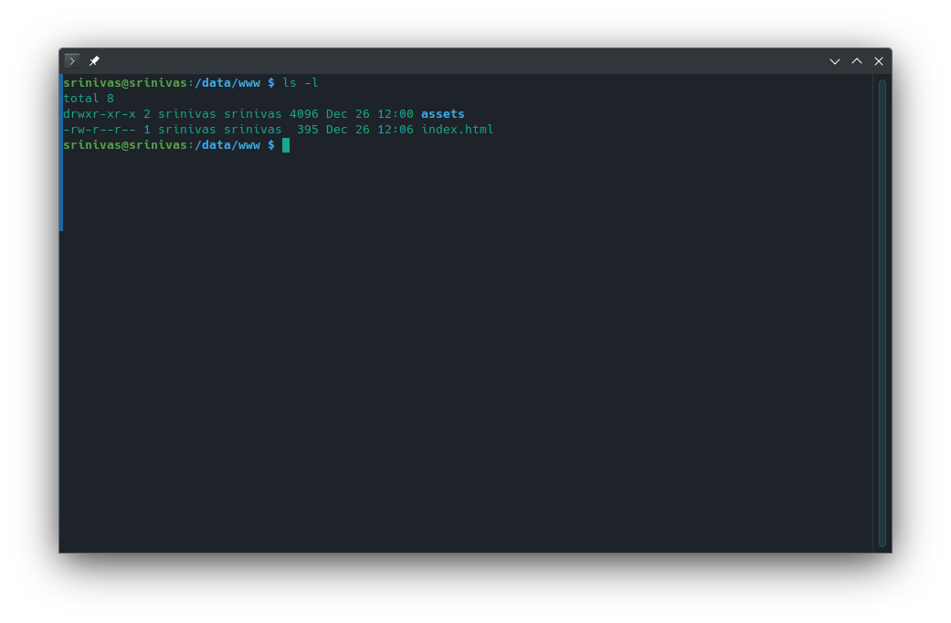 Output of ls -l in /data/www showing an assets folder and index.html