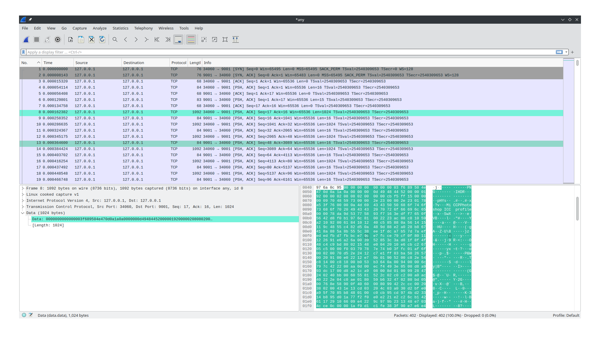 Wireshark showing one randomly chosen segment frame