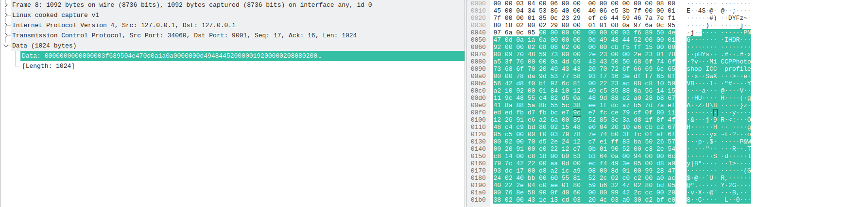 The raw bytes of a segment in Wireshark, 1024 bytes long